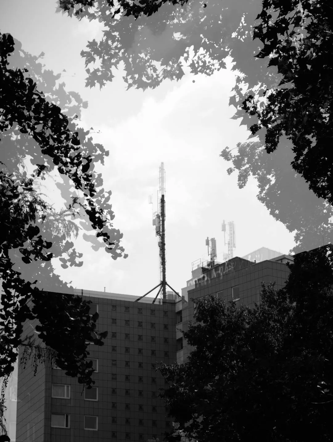 A montage of black and white photographs of Berlin's details. We go towards an abstraction that seeks a sensation of urban tear, of ashes and wandering, made of concrete, crows, passages, graffiti.