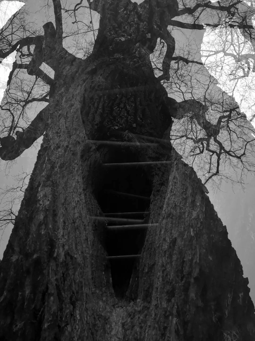 A montage of black and white photographs of Berlin's details. We go towards an abstraction that seeks a sensation of urban tear, of ashes and wandering, made of concrete, crows, passages, graffiti.