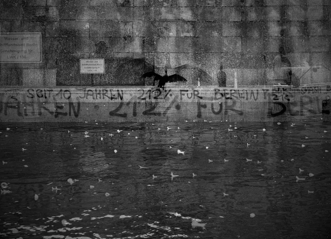 A montage of black and white photographs of Berlin's details. We go towards an abstraction that seeks a sensation of urban tear, of ashes and wandering, made of concrete, crows, passages, graffiti.