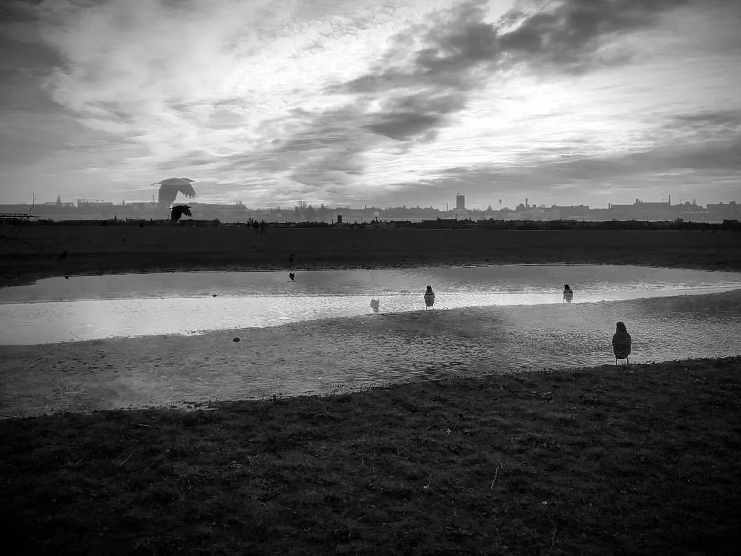 A montage of black and white photographs of Berlin's details. We go towards an abstraction that seeks a sensation of urban tear, of ashes and wandering, made of concrete, crows, passages, graffiti.